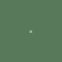 墨夜 (Midnight Ink) - 海角社 创作者头像